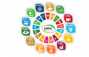 O PEA e os Objetivos de Desenvolvimento Sustentável
