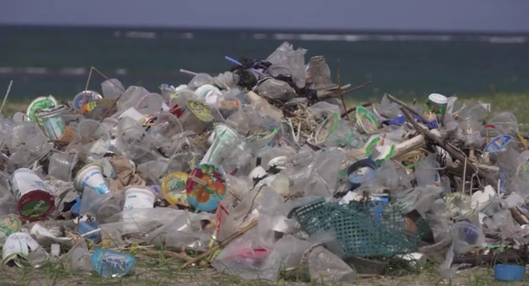 Foto - Reciclagem de polímeros: plástico